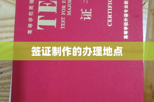 沣西签证制作的办理地点